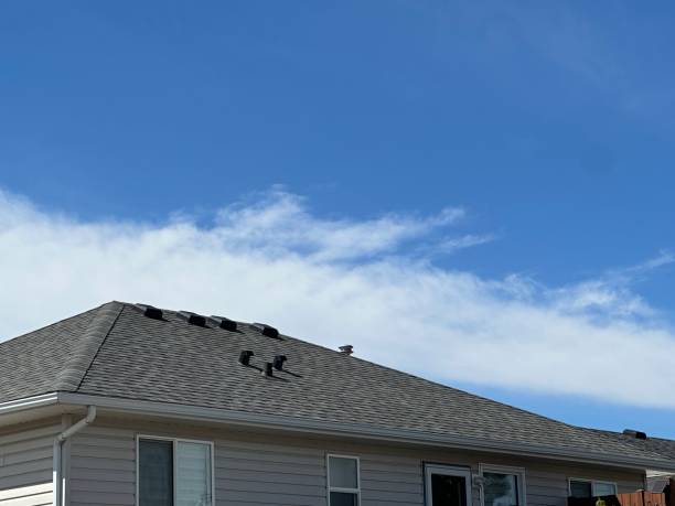 Best Storm Damage Roof Repair  in South Venice, FL